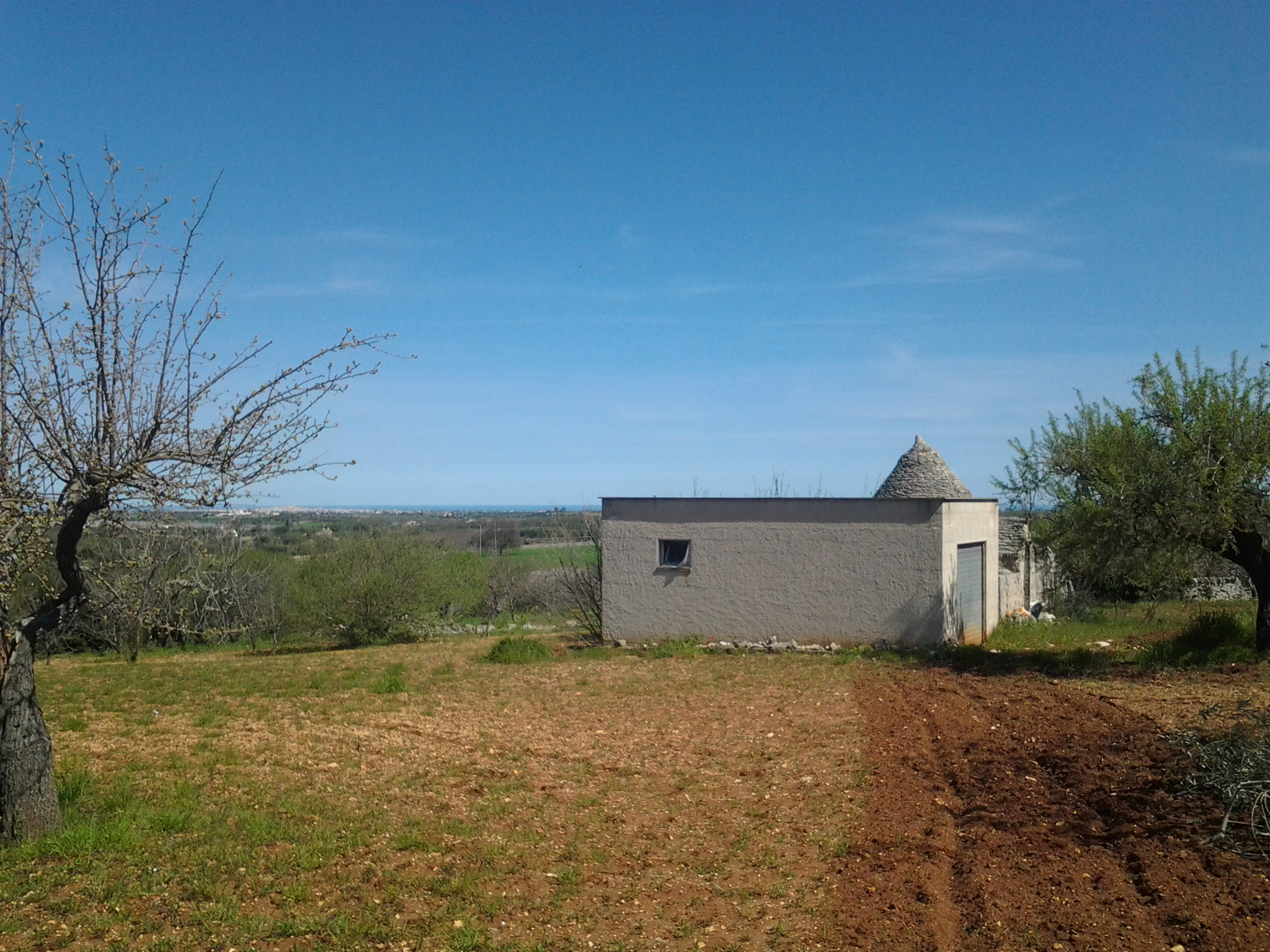Tra Conversano e Putignano Trullo Con Annesso Deposito e Terreno